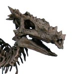 Fossil of Dragon