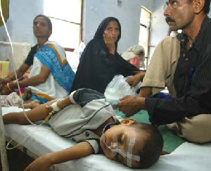 Japanese encephalitis claims over 500 lives in India