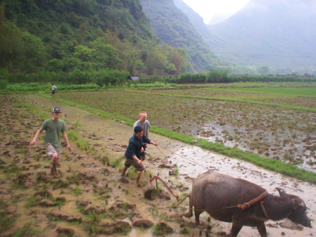 Farmers