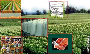 Fertilizers don''t always help in revegetation efforts