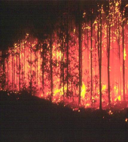 Wildfires