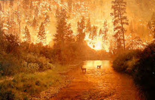 Forest fire near Yosemite threatens 4,000 buildings