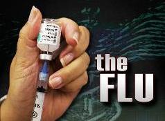 First confirmed case of swine flu detected in Costa Rica 