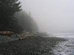 Get Set For Cold Wave: Met Dept