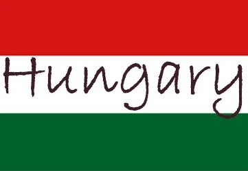 Key Hungarian opposition party: Former finance minister for premier 
