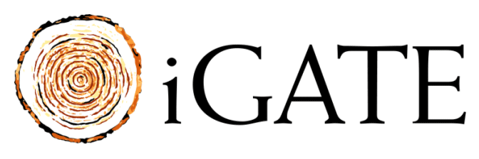 iGate