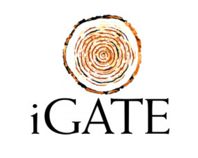iGate to manage data services of UBS