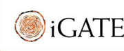 iGate Corporation 