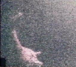 Loch Ness monster