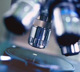 Potential target to treat sepsis identified