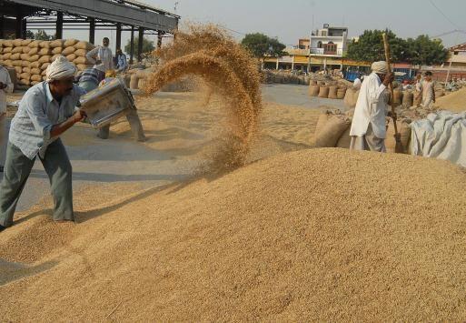 paddy-market