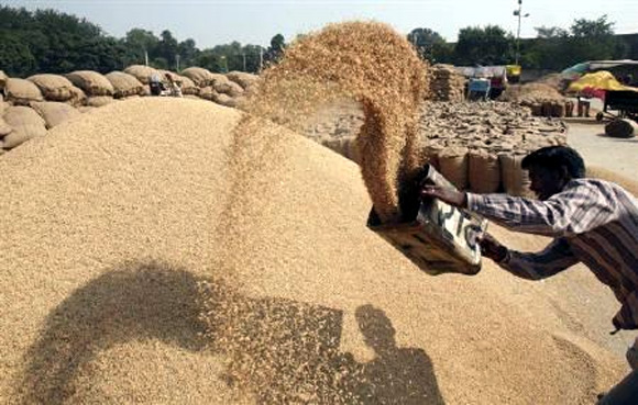 Punjab, Haryana procure over 86 lakh tonnes paddy