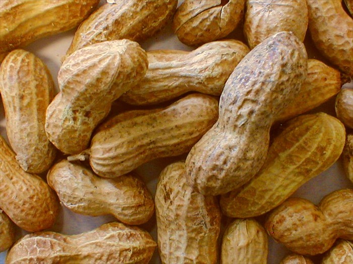 Eating peanuts gives 2-year-old boy heart attack!