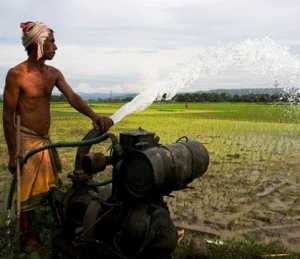50% diesel, seed subsidy to farmers in rain deficit areas 