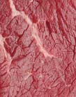 Neanderthals were highly carnivorous, with a taste for red meat