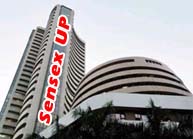 sensex up
