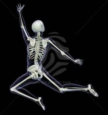 Archaeologists find female "vampire" skeleton in Venice 