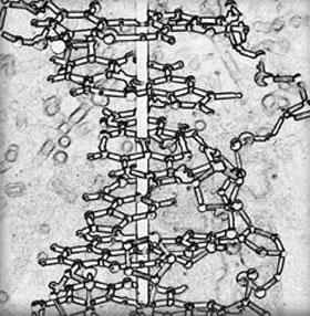 17,00 genes vital to sleep identified