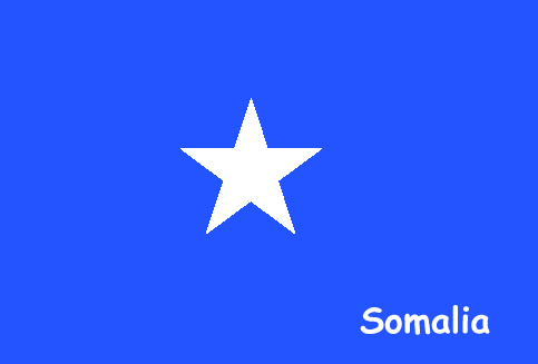 Somalia parliament approves appointment of new premier 