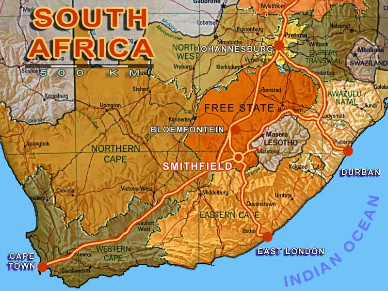 South Africa's power utility in crisis after race row