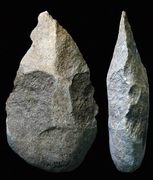 Researchers discover oldest remains of advanced tools