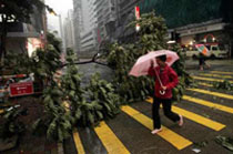Tree lands on bus as tropical storm passes through Hong Kong 