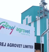 Godrej Agrovet Share Price Target at Rs 980: ICICI Securities
