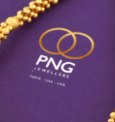 P. N. Gadgil Jewellers Share Price Target at Rs 604: Motilal Oswal Research