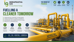 Indraprastha Gas Share Price Target at Rs 184: BOB Capital Markets