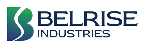 Belrise Industries and Paramesu Biotech Secure IPO Approval from SEBI