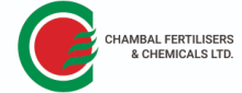 Chambal Fertilisers and Chemicals Share Price Jumps 3.6%; Strongly Bullish on Technical Charts