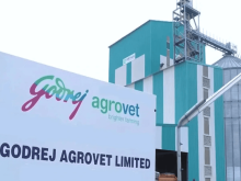 Godrej Agrovet Share Price Target at Rs 980: ICICI Securities