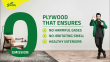 Greenply Industries Share Price Could Reach Rs 340: Axis Securities