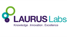 Laurus Labs Share Price Touches 52-week high; Technical Charts Suggest Bullish Breakout
