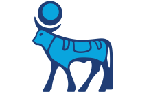 Novo Nordisk (NVO) Stock Price Target Suggested at $140: Argus Research