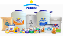 Pidilite Industries Share Price Target at Rs 1,734: Prabhudas Lilladher Research
