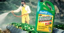 Germany announces ban on Glyphosate by 2023