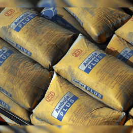 Ambuja Cements Share Price Target at Rs 692: Prabhudas Lilladher