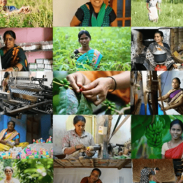 CreditAccess Grameen Share Price Target at Rs 1,600: Motilal Oswal Research