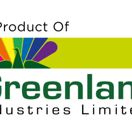 Greenlam Industries Share Price Target at Rs 310: ICICI Direct Research