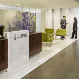 Lupin Share Price Target at Rs 2,900: BOB Capital Markets