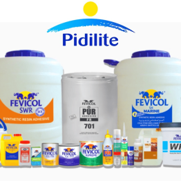 Pidilite Industries Share Price Target at Rs 1,734: Prabhudas Lilladher Research