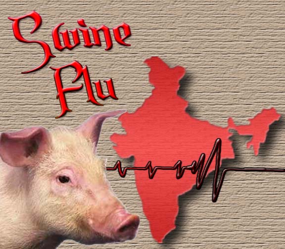 India's swine flu toll touches 502