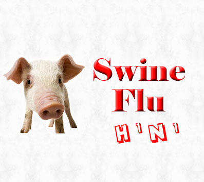 First swine flu case confirmed in Estonia