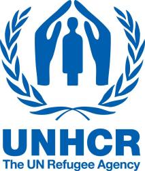Looting, burning of relief supplies cost UN 1.2 million dollars 
