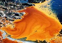 Problems persist two decades after Exxon Valdez oil spill