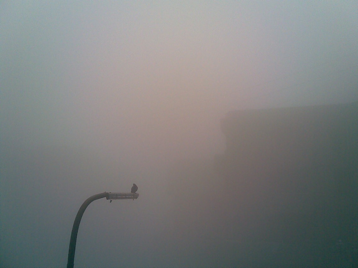 Delhi