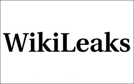 Wikileaks’ researcher questioned 